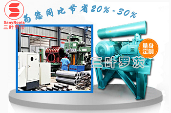 羅茨鼓風(fēng)機(jī)