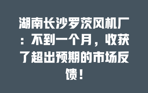 湖南長沙羅茨風機廠:不到一個月,收獲了超出預期的市場反饋! 一