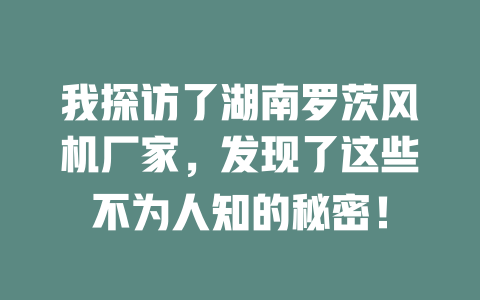 我探訪了湖南羅茨風機廠家，發現了這些不為人知的秘密！ 一