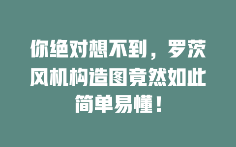 你絕對想不到，羅茨風機構造圖竟然如此簡單易懂！ 一