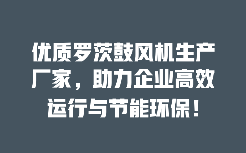 優質羅茨鼓風機生產廠家，助力企業高效運行與節能環保！ 一